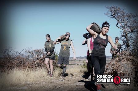 12467_cd9d3f04dfcb370c71311513741c1842_Sunday_SandZone